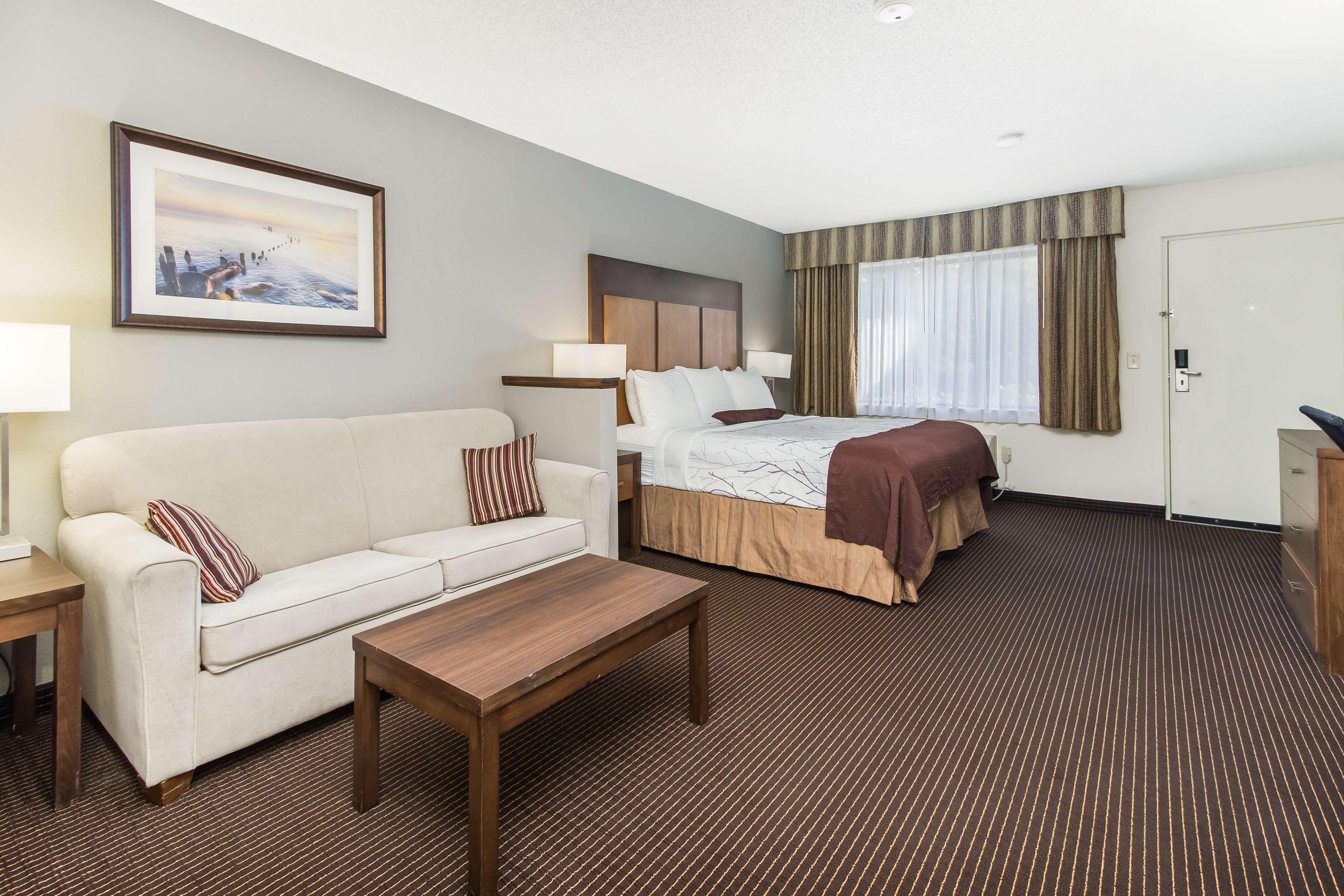 White Pine Inn & Suites Holland Zewnętrze zdjęcie