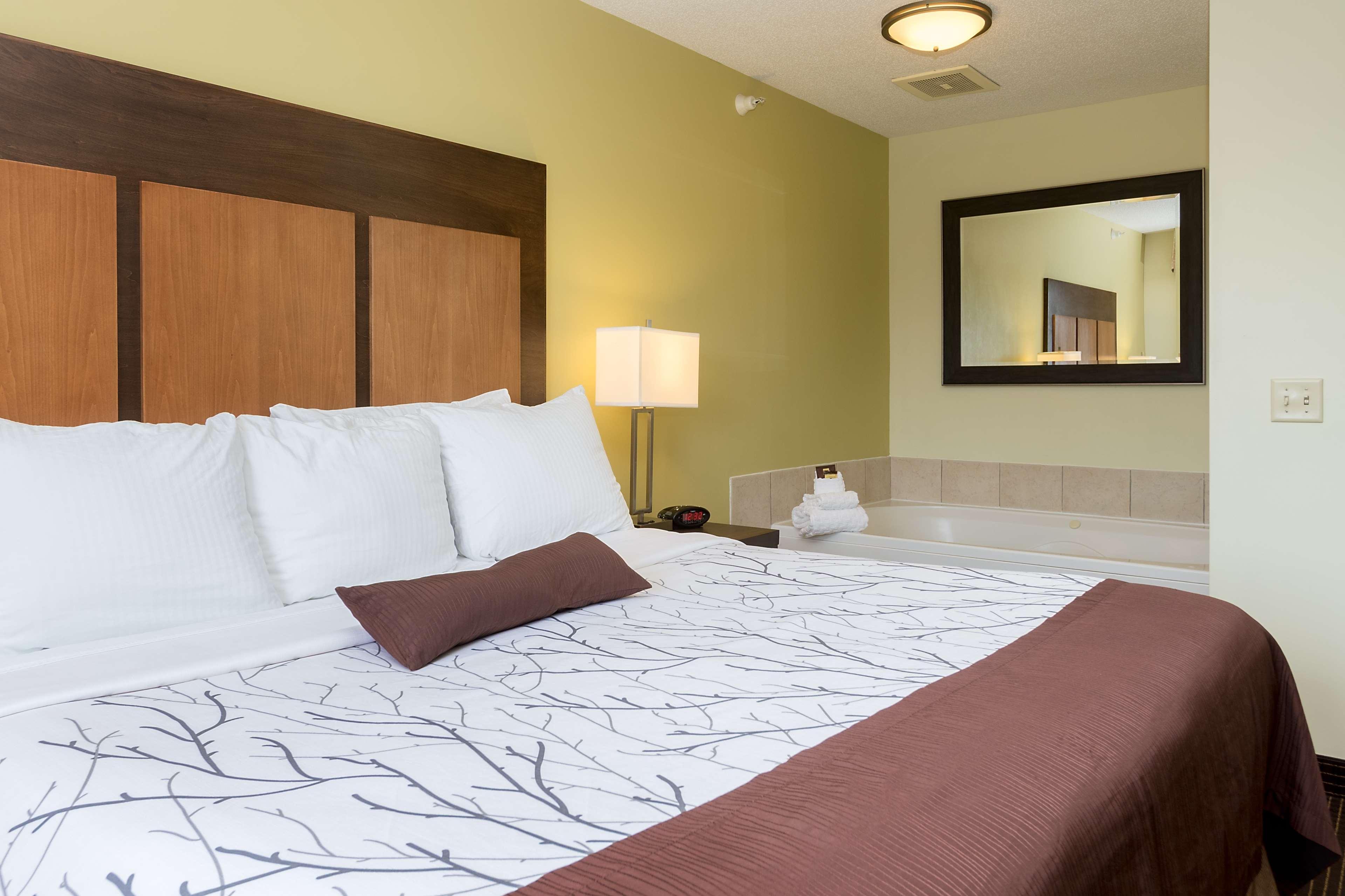 White Pine Inn & Suites Holland Zewnętrze zdjęcie